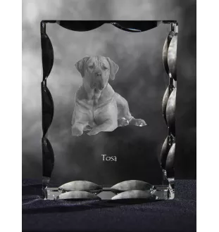 Tosa Inu, Tosa-Ken, Japanese Mastiff - crystal with a picture of a dog, glass statuette with a picture, unique frame with a picture from Art-Dog brand