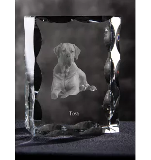 Tosa Inu - cristal avec photo de chien, statuette en verre avec photo, cadre exceptionnel avec photo de la marque Art-Dog