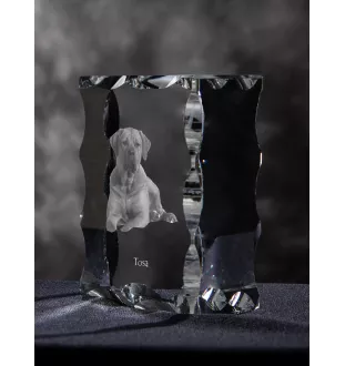 Tosa Inu ramka kryształowa z psem Art-Dog