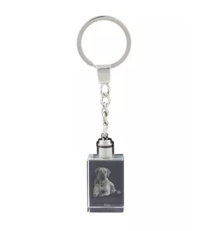 Tosa Inu - Porte-clés en cristal avec photo de chien, porte-clés lumineux, cadeau unique de la marque Art-Dog