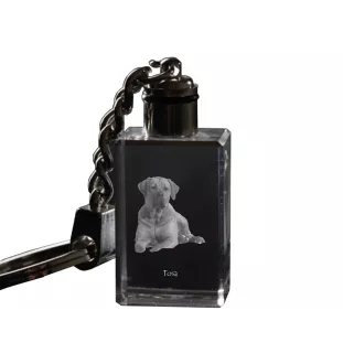 Tosa Inu brelok kryształowy z psem Art-Dog