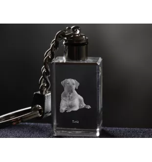Tosa Inu, Tosa-Hund - Schlüsselanhänger aus Kristall mit Hundefoto, beleuchteter Schlüsselanhänger, einzigartiges Geschenk der Marke Art-Dog