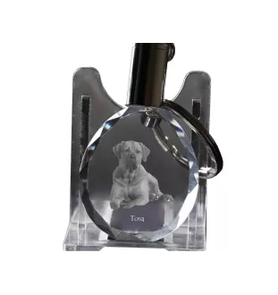 Tosa Inu, Tosa-Ken, Japanese Mastiff - pendant with a photo of a dog, crystal key ring in a gift box, a unique gift by Art-Dog
