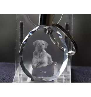 Tosa Inu, Tosa-Hund - Anhänger mit einem Foto eines Hundes, Schlüsselanhänger aus Kristall in einer Geschenkbox, ein einzigartiges Geschenk von Art-Dog