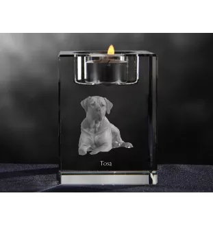 Tosa Inu, Tosa-Ken, Japanese Mastiff - Candle holder with dog photo, crystal tealight holder, personalised gift by Art-Dog brand