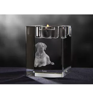 Tosa Inu, Tosa-Ken, Japanese Mastiff - Candle holder with dog photo, crystal tealight holder, personalised gift by Art-Dog brand