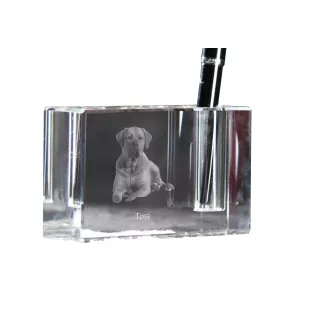 Tosa Inu, Tosa-Ken, Japanese Mastiff - Pen stand, crystal organiser with dog photo, unique desk decoration by Art-Dog brand