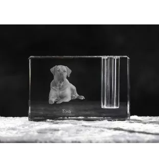 Tosa Inu - Porte-stylos, organiseur en cristal avec photo de chien, décoration de bureau unique par la marque Art-Dog