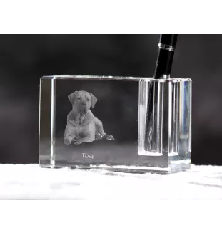 Tosa Inu, Tosa-Hund - Stifthalter, Kristallorganizer mit Hundefoto, einzigartige Schreibtischdekoration der Marke Art-Dog