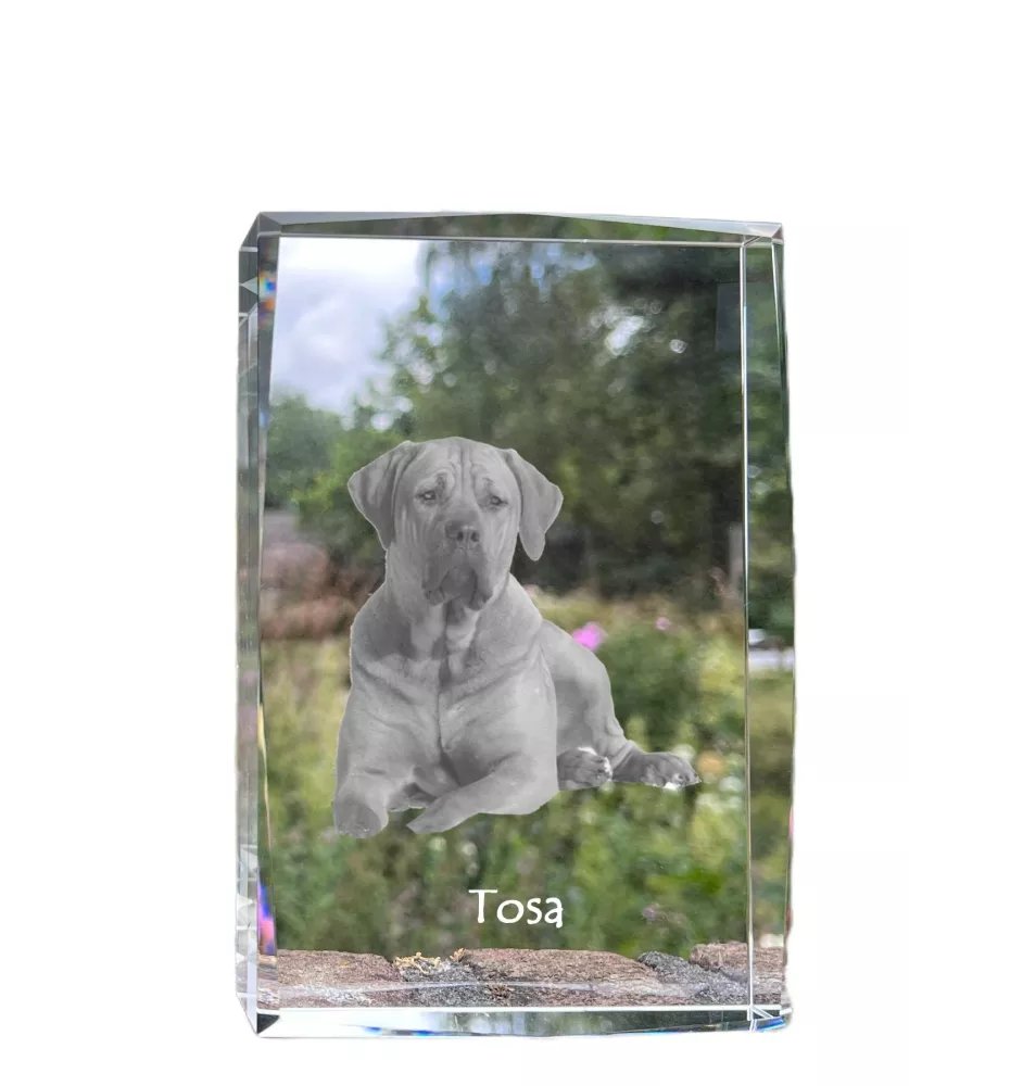 Tosa Inu - cristal avec une photo de chien, photo sous verre, exposition moderne de la marque de photos Art-Dog