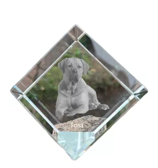 Tosa Inu - un cube de cristal avec une photo, une photo de cheval dans le cristal, un presse-papiers cubique de la marque Art-Dog