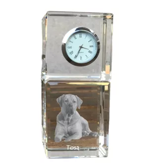 Tosa Inu, Tosa-Ken, Japanese Mastiff - crystal clock with a photo, a photo of a dog in crystal, personalized desk clock by Art-Dog brand