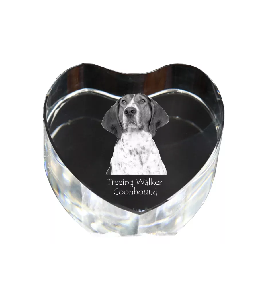 Treeing Walker Coonhound - a photo of a dog in crystal, crystal heart, unique photo frame from the Art-Dog brand