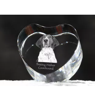Treeing Walker Coonhound - a photo of a dog in crystal, crystal heart, unique photo frame from the Art-Dog brand
