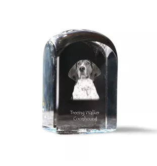 Treeing Walker Coonhound - crystal cube with a photo, photo of a dog in crystal, cubic paperweight from Art-Dog brand