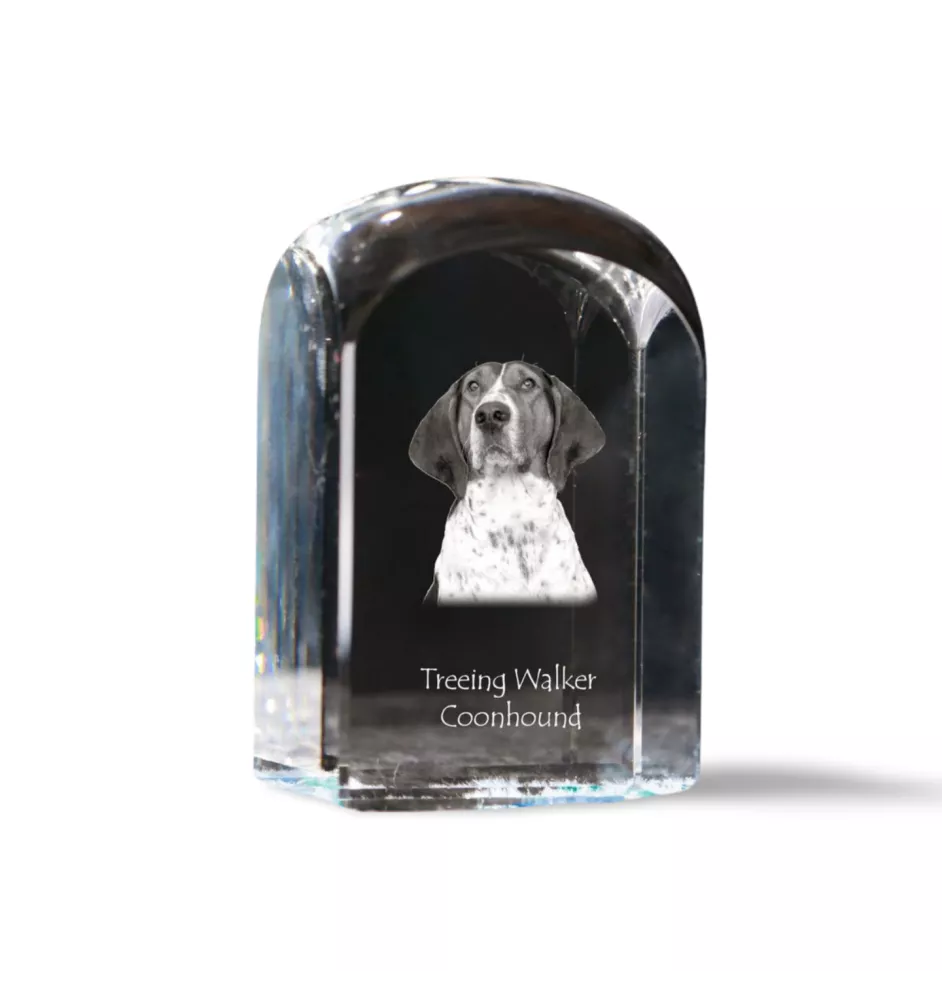 Treeing Walker Coonhound - crystal cube with a photo, photo of a dog in crystal, cubic paperweight from Art-Dog brand