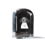 Treeing Walker Coonhound - crystal cube with a photo, photo of a dog in crystal, cubic paperweight from Art-Dog brand