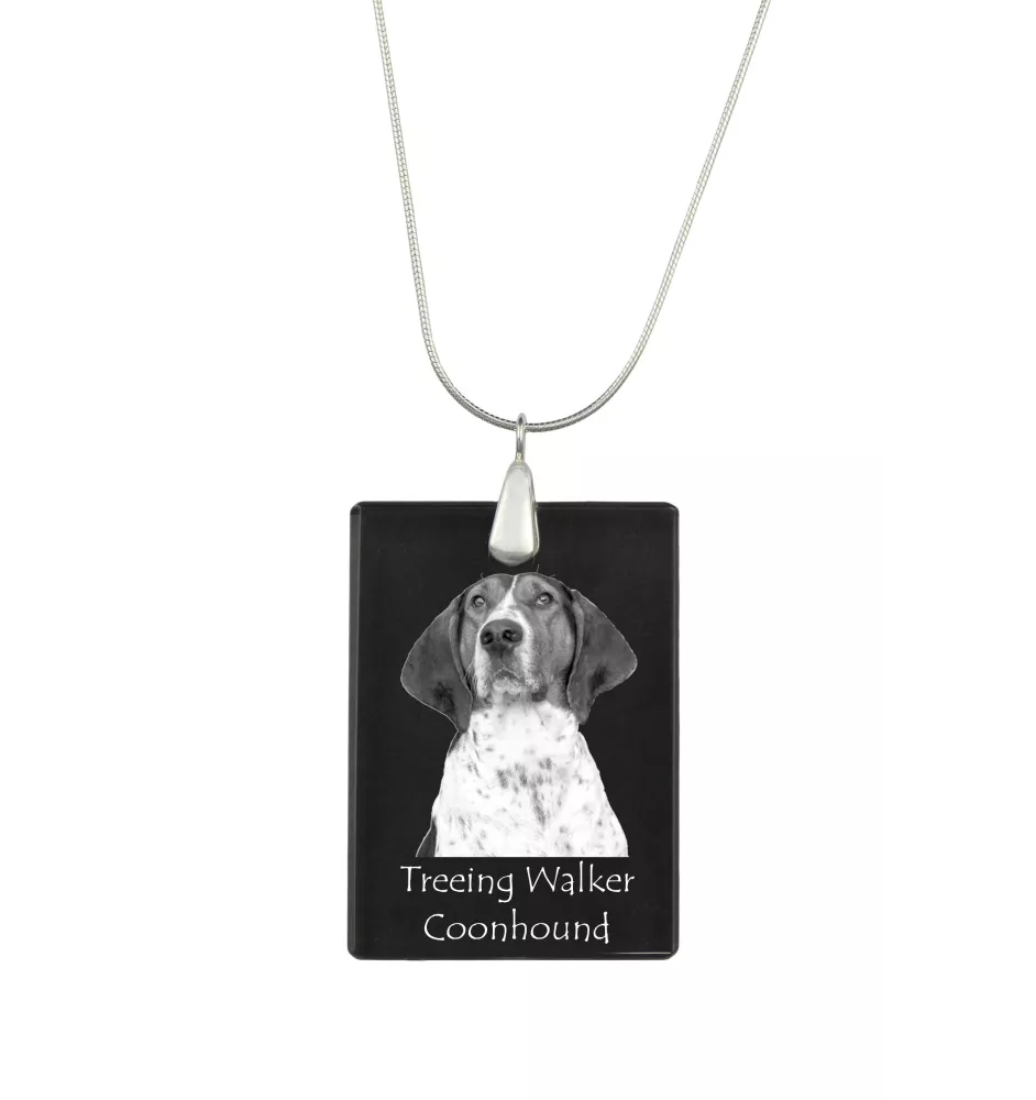 Treeing Walker Coonhound - Kristallanhänger mit Hund, Silberhalskette mit Foto, personalisierter Anhänger der Marke Art-Dog