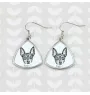 Toy Fox Terrier, American Toy Terrier, Amertoy - Hund Ohrringe, hängende Ohrringe mit Bild, personalisierter Schmuck mit dem Aufdruck der Marke Art-Dog