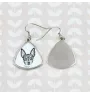 Toy Fox Terrier, American Toy Terrier, Amertoy - Hund Ohrringe, hängende Ohrringe mit Bild, personalisierter Schmuck mit dem Aufdruck der Marke Art-Dog