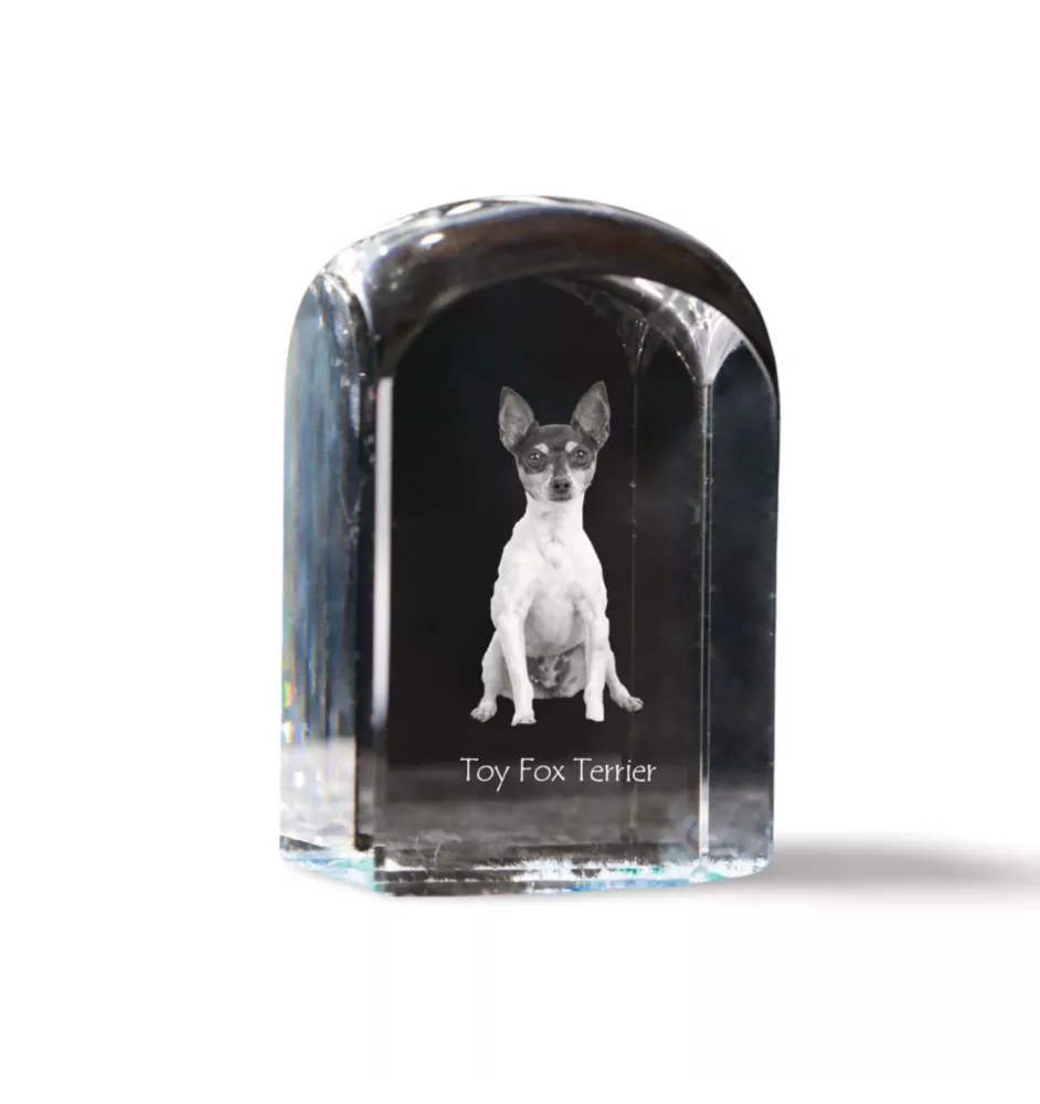 Toy Fox Terrier, American Toy Terrier, Terrier américain de jouet - un cube de cristal avec une photo, une photo de chien dans le cristal, un presse-papiers cubique de la marque Art-Dog