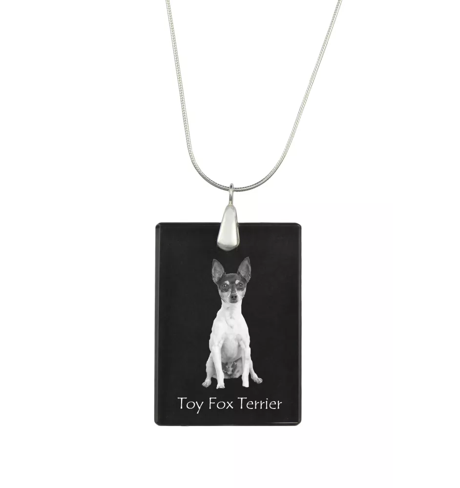 Toy Fox Terrier, American Toy Terrier, Terrier américain de jouet - Pendentif en cristal avec chien, collier en argent avec photo, pendentif personnalisé par la marque Art-Dog