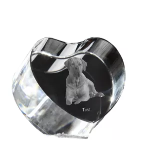 Tosa Inu - une photo de chien dans un cristal, un cœur en cristal, un cadre photo exceptionnel de la marque Art-Dog