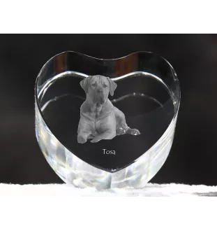 Tosa Inu - une photo de chien dans un cristal, un cœur en cristal, un cadre photo exceptionnel de la marque Art-Dog
