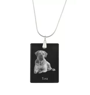 Tosa Inu, Tosa-Hund - Kristallanhänger mit Hund, Silberhalskette mit Foto, personalisierter Anhänger der Marke Art-Dog