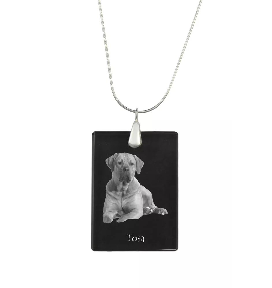 Tosa Inu, Tosa-Ken, Japanese Mastiff - Crystal pendant with dog, silver necklace with photo, personalised pendant by Art-Dog brand