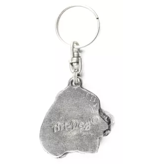 Welsh Springer Spaniel - Versilberter Anhänger mit einem Hund in einer dekorativen Box, Handtaschenschmuck, Rucksackanhänger der Marke Art-Dog