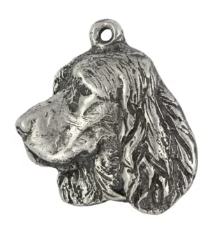 Welsh Springer Spaniel - Hundehalsband in Geschenkbox, versilbertes Medaillon für Hundefans, markanter Anhänger der Marke Art-Dog