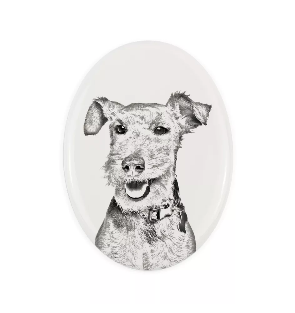 Welsh Terrier, Welshie, Daeargi Cymreig - commemorative plaque with a photo of a dog, tombstone with a print, personalized oval plaque from the Art-Dog brand