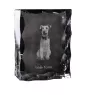Welsh Terrier, Welshie, Daeargi Cymreig - crystal with a picture of a dog, glass statuette with a picture, unique frame with a picture from Art-Dog brand