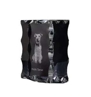 Welsh Terrier - Kristall mit einem Hundebild, Glasstatuette mit einem Bild, einzigartiger Bilderrahmen der Marke Art-Dog