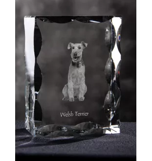 Welsh Terrier, Welshie, Daeargi Cymreig - crystal with a picture of a dog, glass statuette with a picture, unique frame with a picture from Art-Dog brand