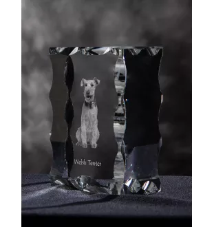 Welsh Terrier, Terrier gallois - cristal avec photo de chien, statuette en verre avec photo, cadre exceptionnel avec photo de la marque Art-Dog
