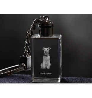 Welsh Terrier - Schlüsselanhänger aus Kristall mit Hundefoto, beleuchteter Schlüsselanhänger, einzigartiges Geschenk der Marke Art-Dog