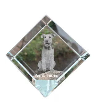 Welsh Terrier, Terrier gallois - un cube de cristal avec une photo, une photo de cheval dans le cristal, un presse-papiers cubique de la marque Art-Dog