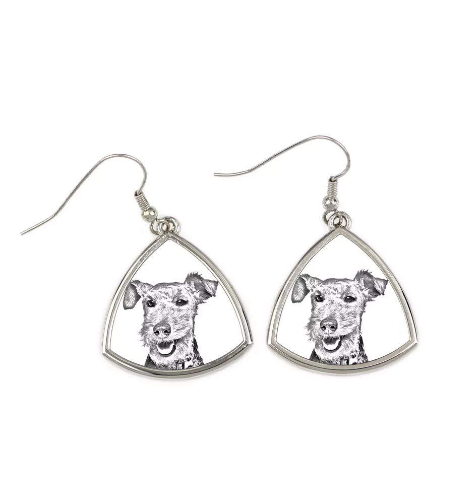 Welsh Terrier, Terrier gallois - boucles d'oreilles avec chien, boucles d'oreilles pendantes avec photo, bijoux personnalisés avec impression de la marque Art-Dog
