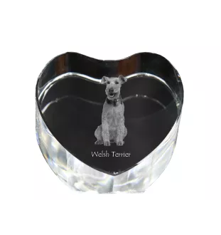 Welsh Terrier, Terrier gallois - une photo de chien dans un cristal, un cœur en cristal, un cadre photo exceptionnel de la marque Art-Dog