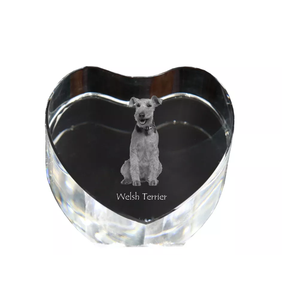Welsh Terrier - Hundebild im Kristall, Kristallherz, einzigartiger Bilderrahmen der Marke Art-Dog
