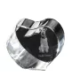 Welsh Terrier, Welshie, Daeargi Cymreig - a photo of a dog in crystal, crystal heart, unique photo frame from the Art-Dog brand