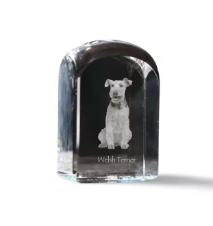 Welsh Terrier, Terrier gallois - un cube de cristal avec une photo, une photo de chien dans le cristal, un presse-papiers cubique de la marque Art-Dog