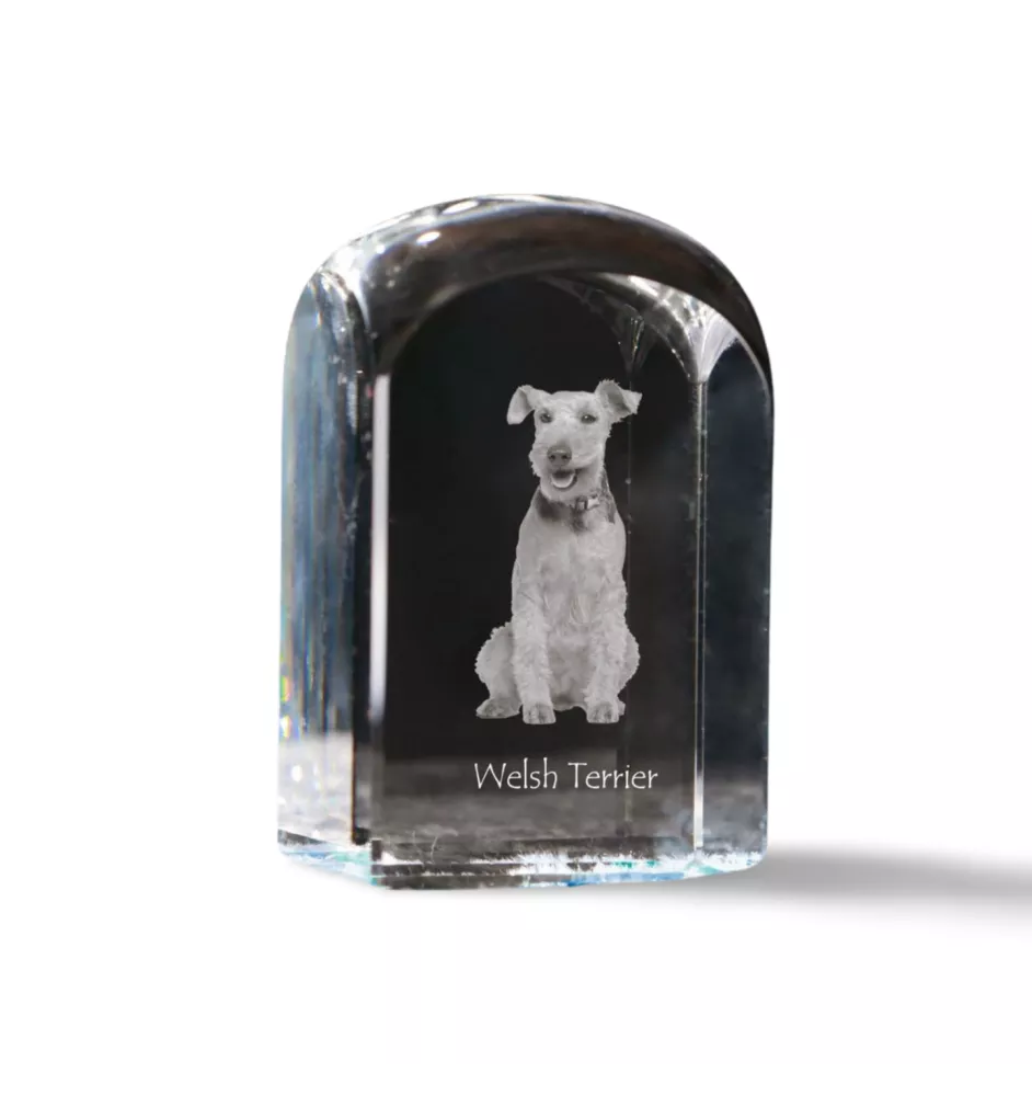 Welsh Terrier, Welshie, Daeargi Cymreig - crystal cube with a photo, photo of a dog in crystal, cubic paperweight from Art-Dog brand