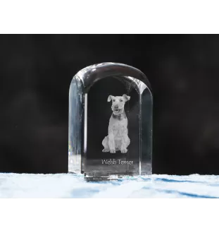 Welsh Terrier, Terrier gallois - un cube de cristal avec une photo, une photo de chien dans le cristal, un presse-papiers cubique de la marque Art-Dog
