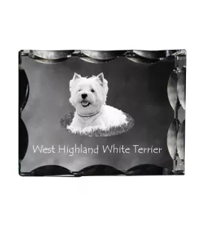 West Highland White Terrier, Weißer Hochlandterrier, Westie - Kristall mit einem Hundebild, Glasstatuette mit einem Bild, einzigartiger Bilderrahmen der Marke Art-Dog
