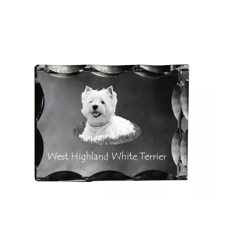 West Highland White Terrier, Weißer Hochlandterrier, Westie - Kristall mit einem Hundebild, Glasstatuette mit einem Bild, einzigartiger Bilderrahmen der Marke Art-Dog