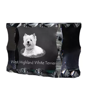West Highland White Terrier, Weißer Hochlandterrier, Westie - Kristall mit einem Hundebild, Glasstatuette mit einem Bild, einzigartiger Bilderrahmen der Marke Art-Dog