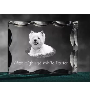 West Highland White Terrier, Weißer Hochlandterrier, Westie - Kristall mit einem Hundebild, Glasstatuette mit einem Bild, einzigartiger Bilderrahmen der Marke Art-Dog